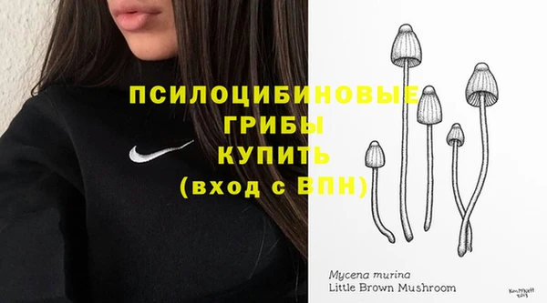 ешки Покров